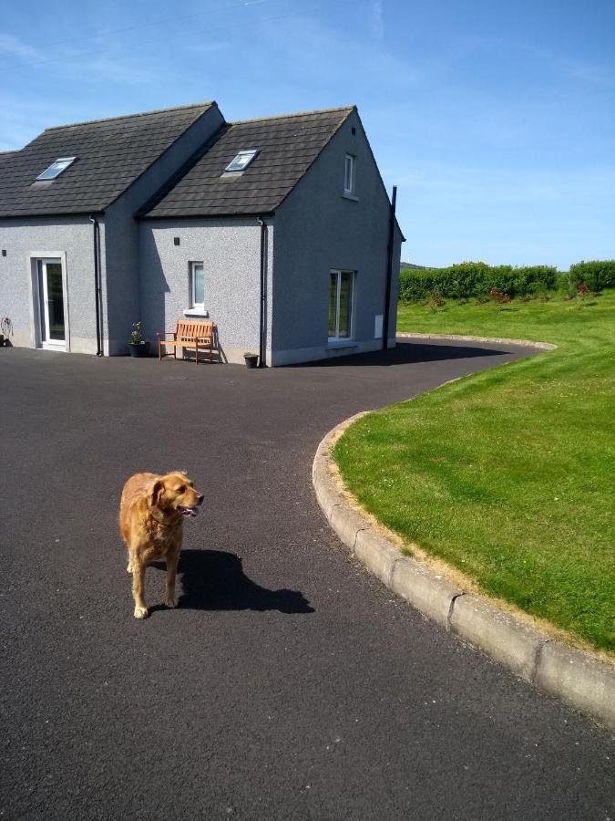 BallyvoyLuxuryアパートメント エクステリア 写真